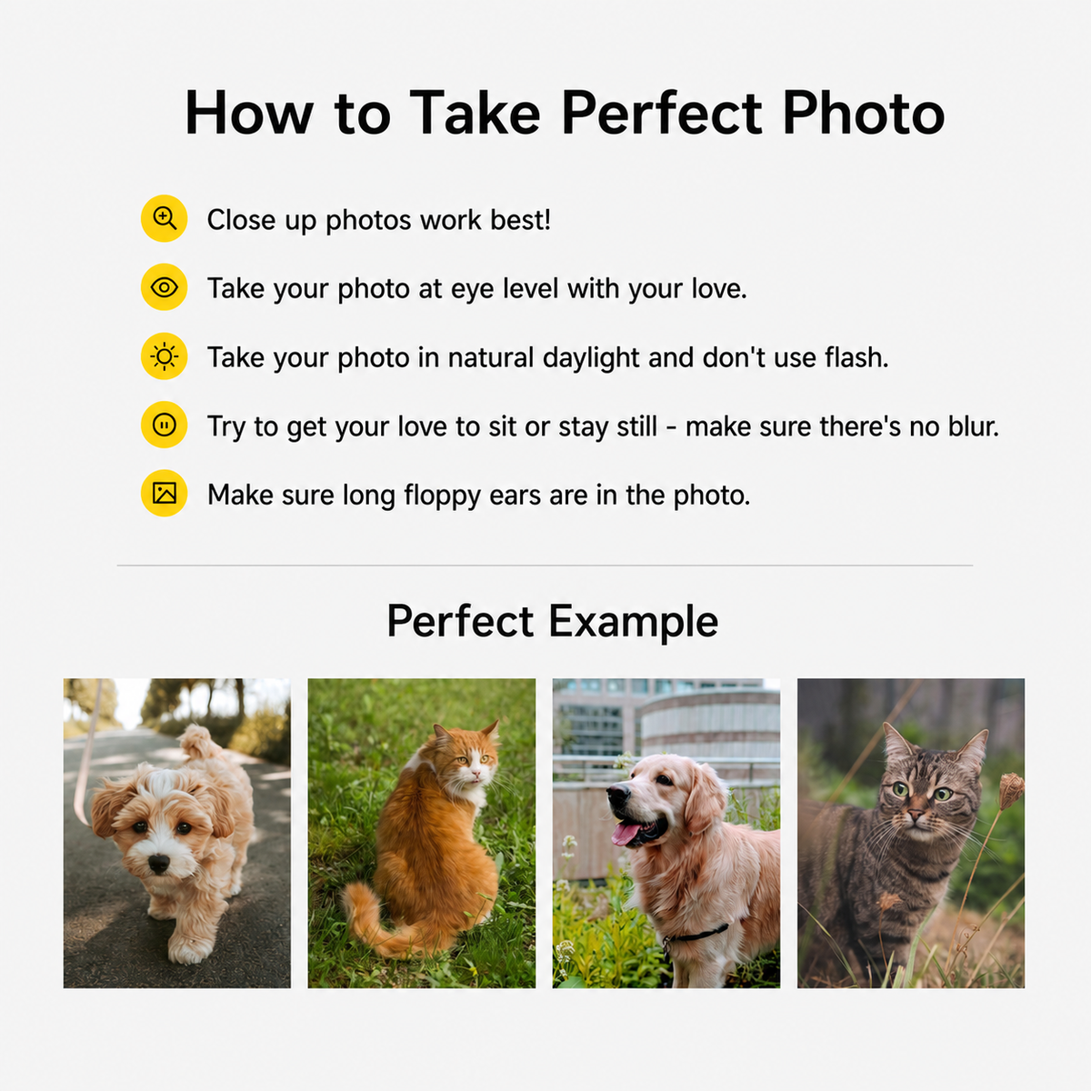 Artzuzu Custom Portrait For Pets - Hey!