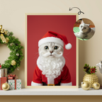 The Santa