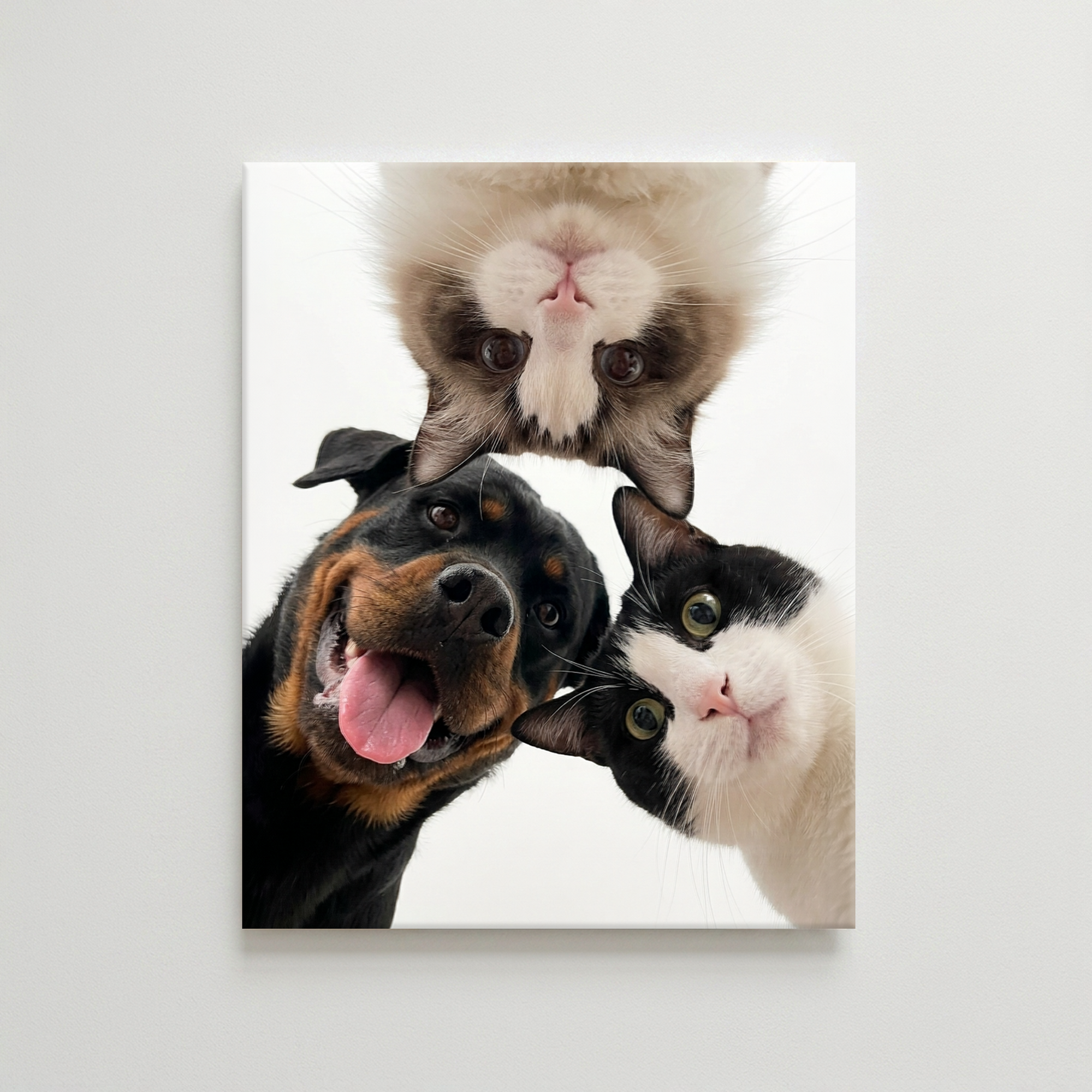 Artzuzu Custom Portrait For Pets - Hey!