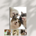 Custom portrait print of three cats—white, tabby, and grey-white—looking down together, displayed on a wall.