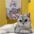 A realistic portrait print shows a silver cat in a robe and towel reading a newspaper on a toilet, set