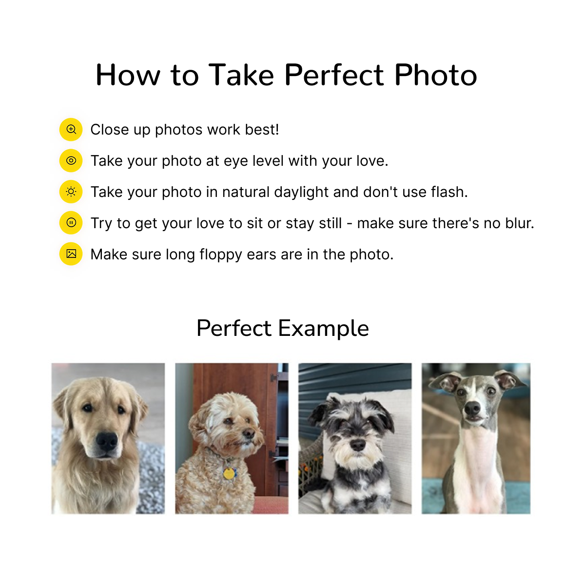 Artzuzu Custom Portrait For Pets - Biggest Fan Here